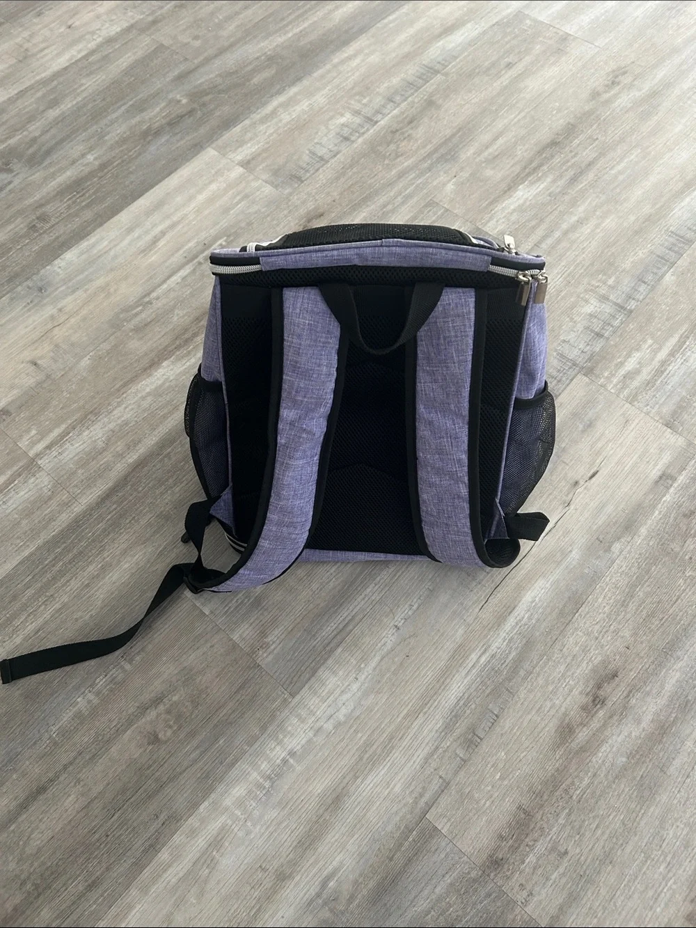 Baglher Purple Small Pet Carrier Backpack